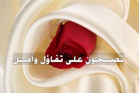 صور تصبحوا على خير - خلفيات صباحية رائعه 5973 6