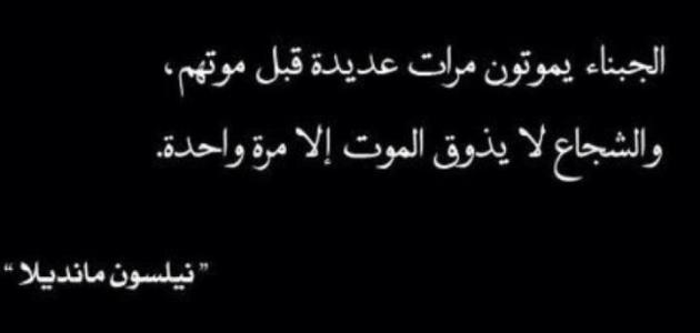 حكمة اليوم تقول - تعلم حكمه جديده كل يوم 2655 3