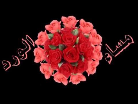 صور مساء الورد , اروع صور مساء الورد