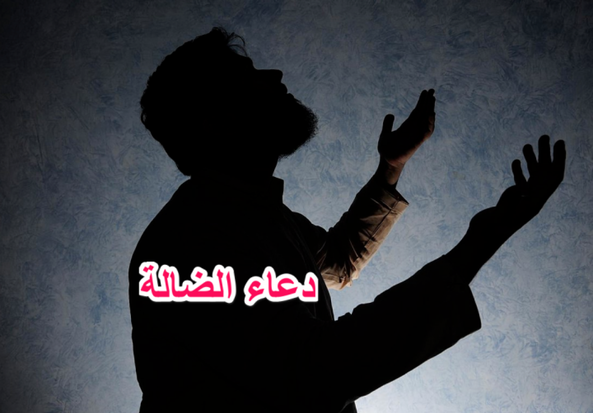 دعاء الضالة 3504