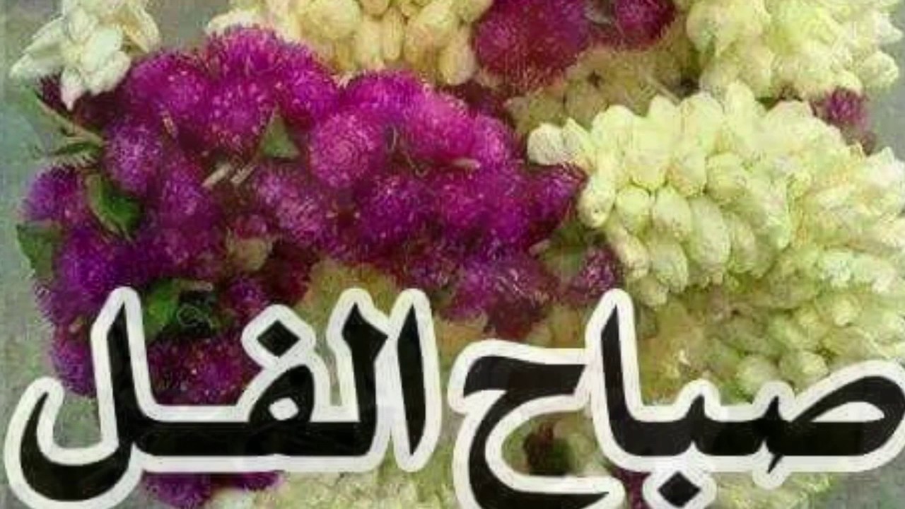 صور صباحالخير 2026 11