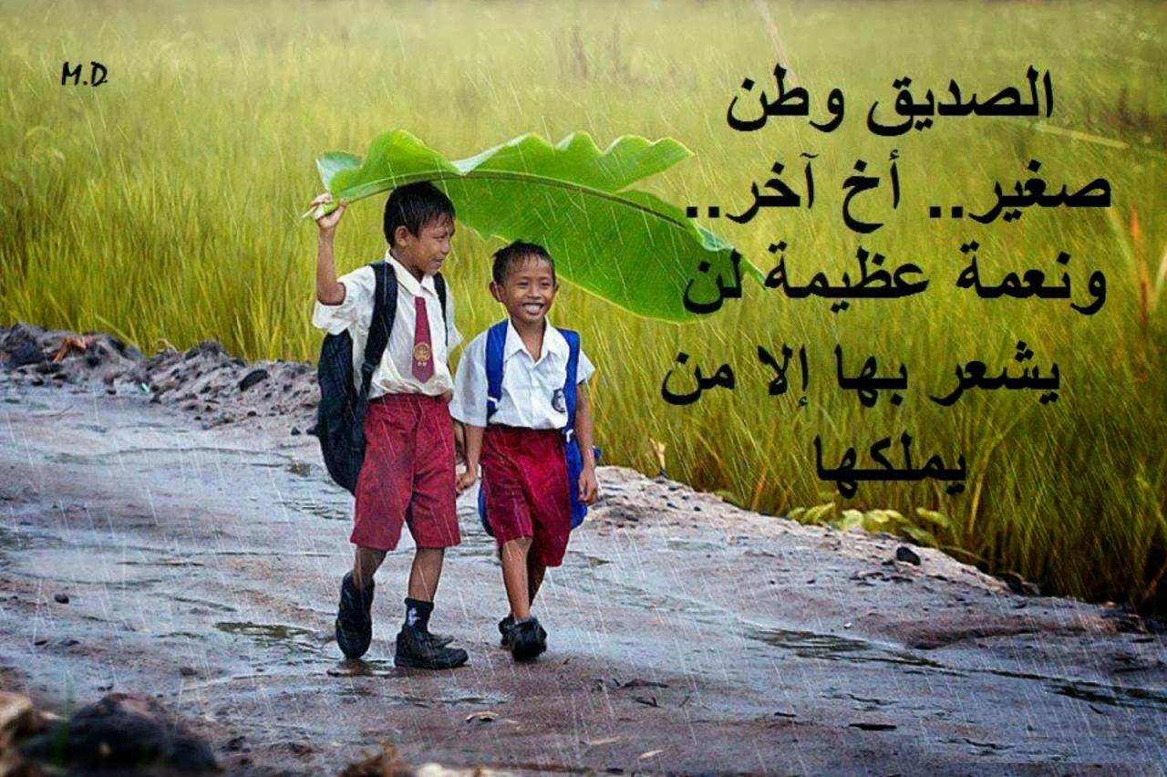 صور عن الصداقه 3933 9