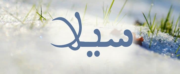 معنى اسم سيلا - ما المقصود باسم سيلا 1284