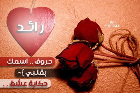 معنى اسم رائد - اجمل المعانى فى اسم رائد 2593 1