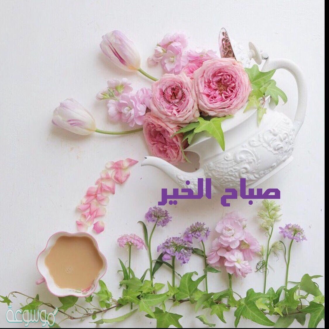 صور صباحالخير 2026 9