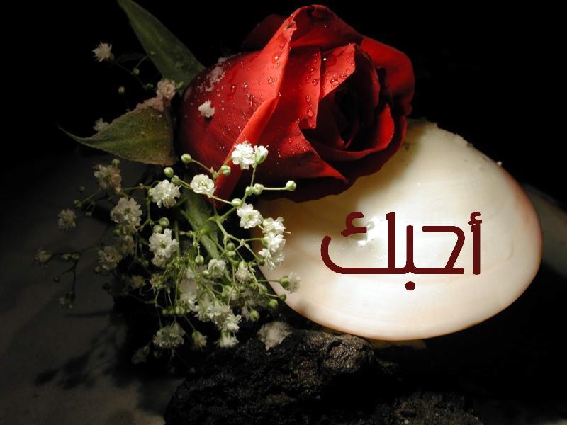 صور حب روعه - حب من نوع اخر 641 8