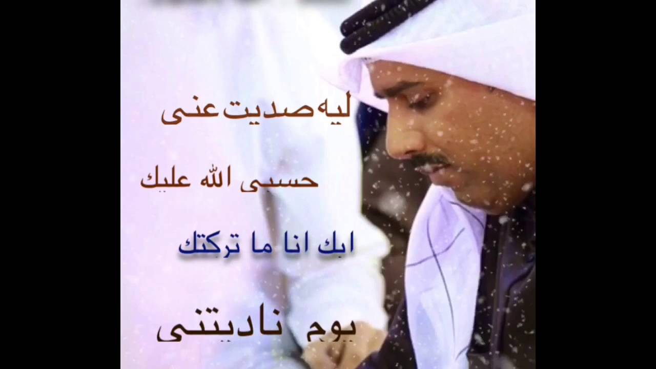 اشعار حامد زيد 3588 10