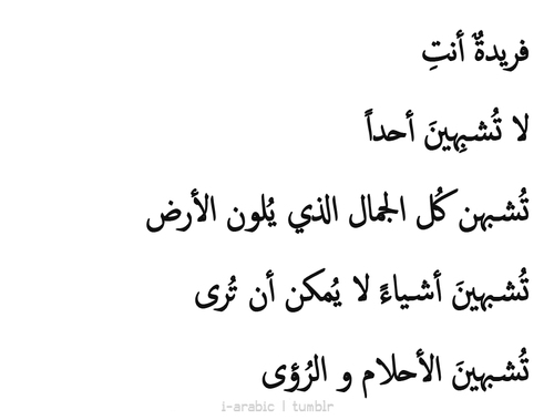 ابلغ بيت شعر في الغزل - انتي احلي من القمر 1814 6