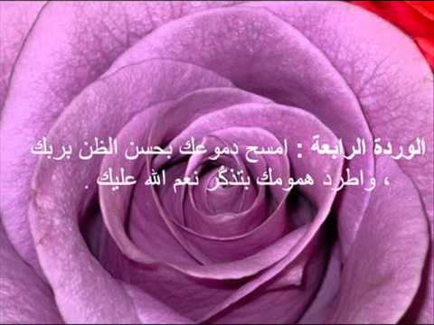 حكم عن الورد - كلام جميل عن الورد 1633 11