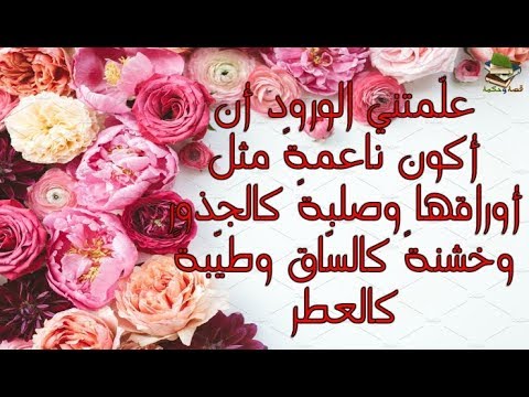 حكم عن الورد - كلام جميل عن الورد 1633 2