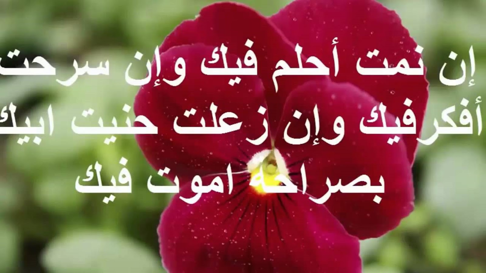 صور رسائل حب - مين وين هالكلام الحلو مره 1276