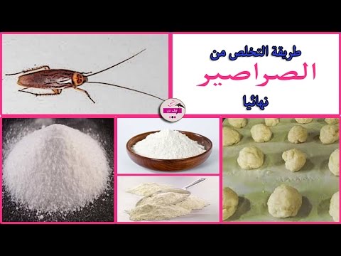 القضاء على الصراصير , التخلص من الصراصير