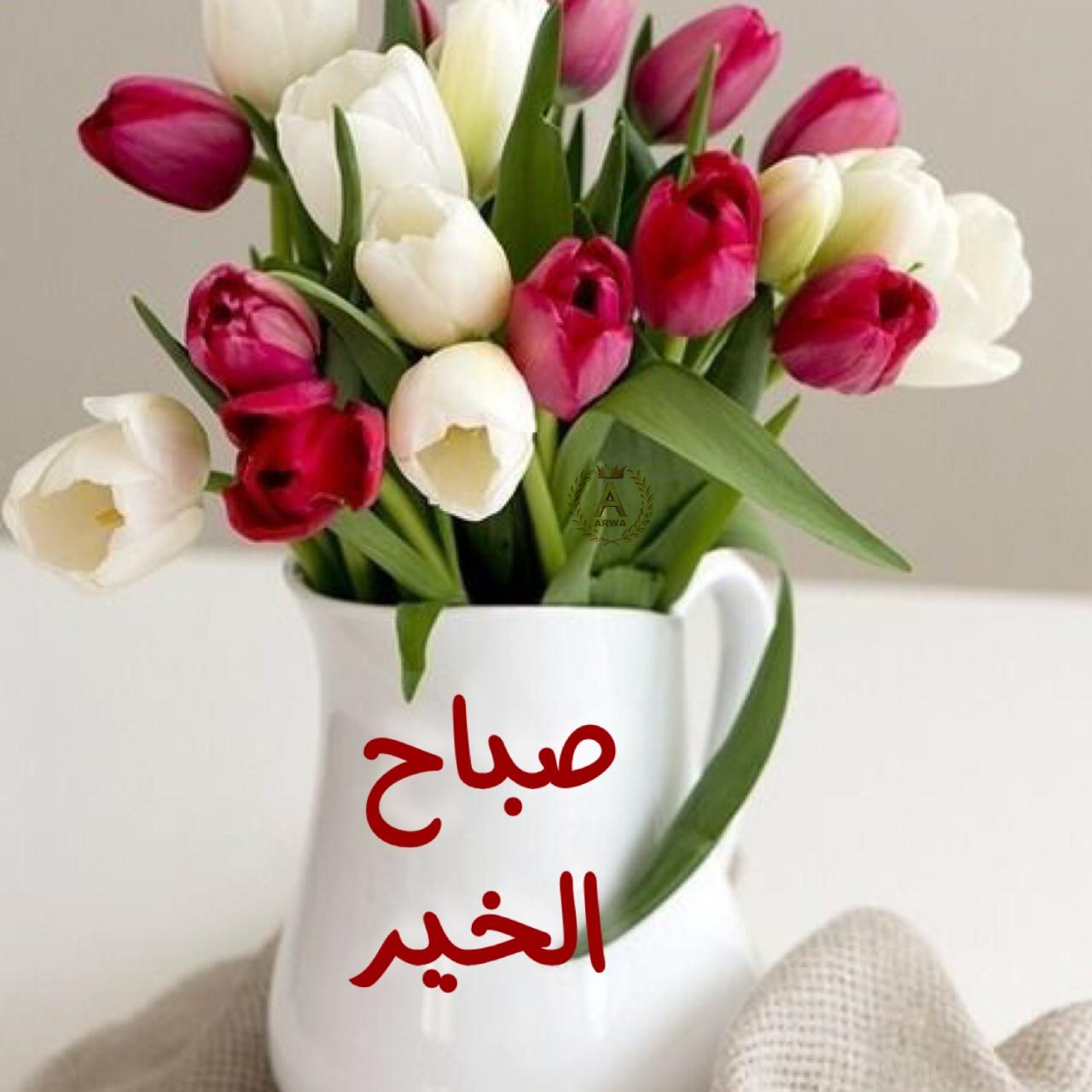 صور صباحالخير 2026 3