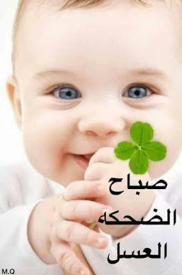 صور للصباح - خلفيات صباح الخير جميله 6003 4