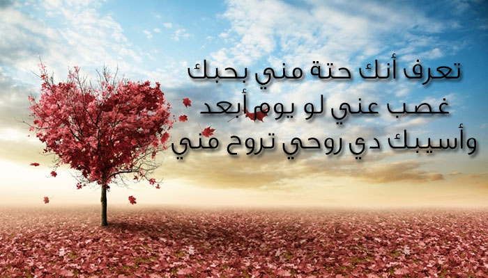 رسائل حب ورومانسية 2956 17