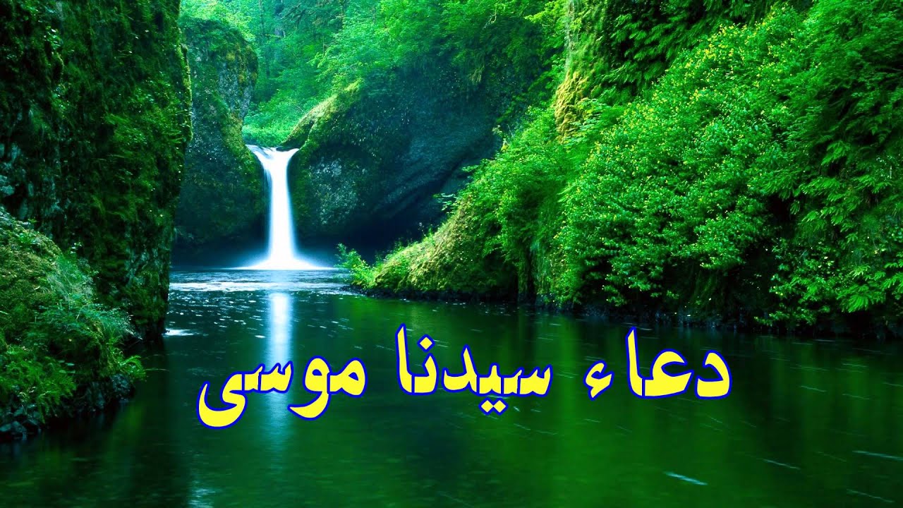 دعاء سيدنا موسى 2857 11