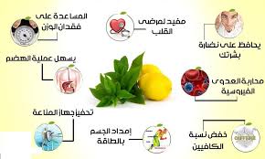 نصائح للرجيم - كيفيه التخلص من الوزن 1385 2