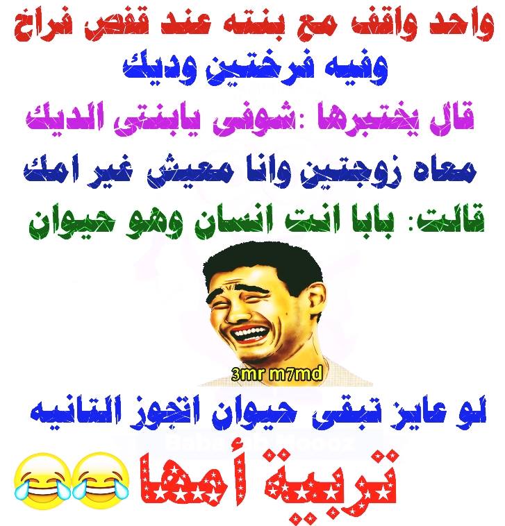 نكت بنات - اجمل نكت بنات مضحكه 2440 2