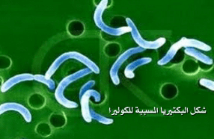 مرض الكوليرا , امراض خطيرة دوليا