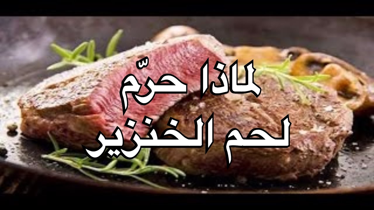 سبب تحريم الخنزير 10552 4