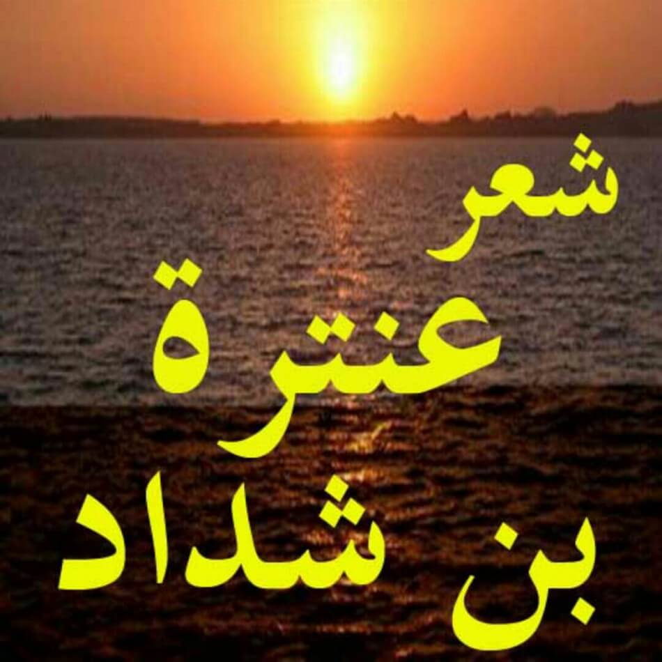 شعر جاهلي مدح 10775 14