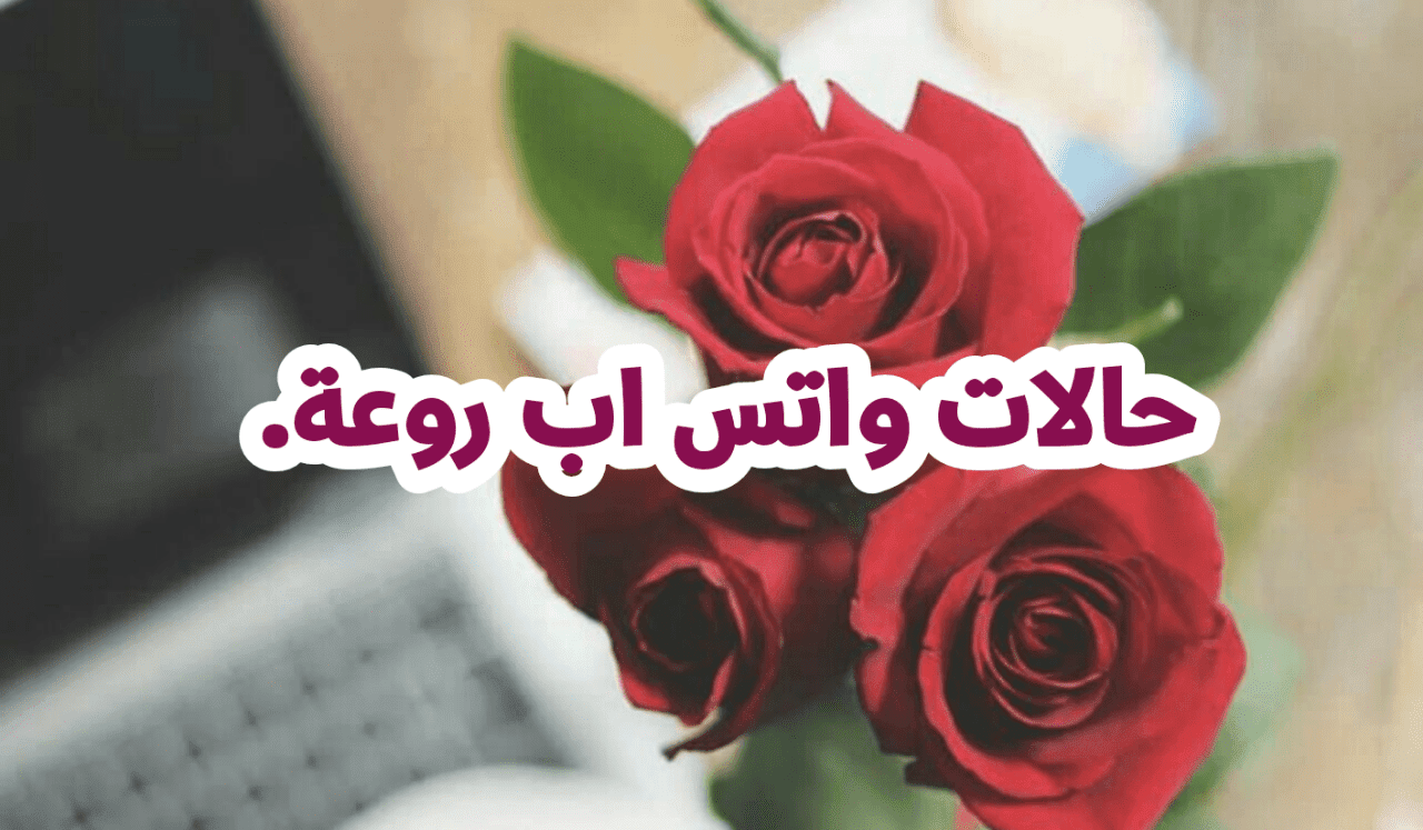 صور واتس حكم 10809