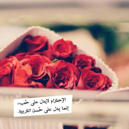 خلفيات واتساب جميله - اجدد الخلفيات للواتس اب روعه 6233