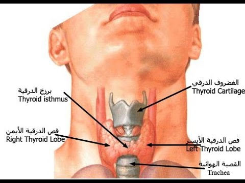 اعراض قصور الغدة الدرقية - اسباب الغدة الدرقيه 6192