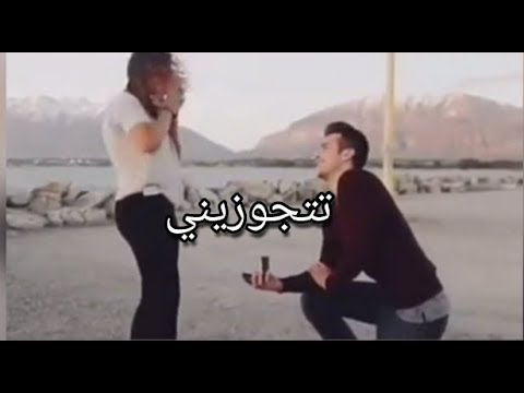 حالات واتس اب رومانسيه - مفيش زيك ياحبيبي 1016