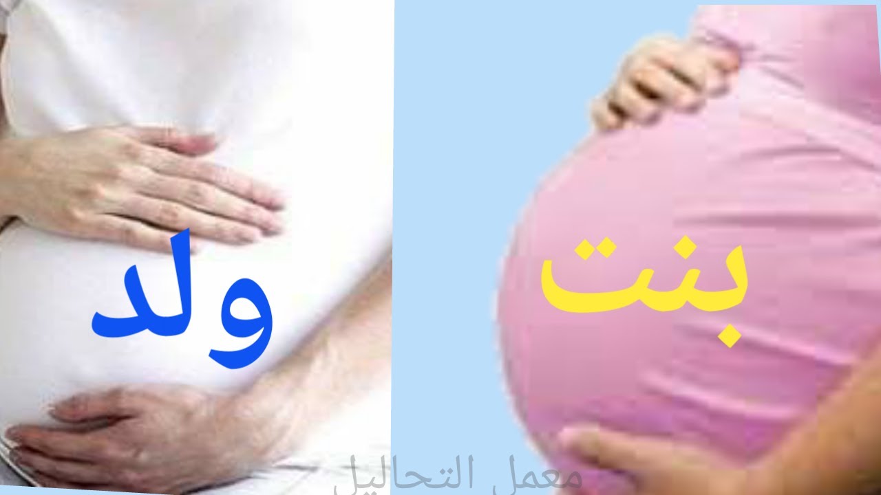 شكل بطن الحامل ببنت او ولد بالصور