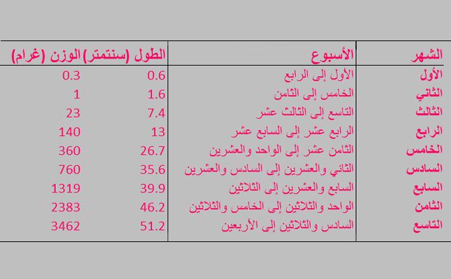 الوزن الطبيعي للجنين 10329