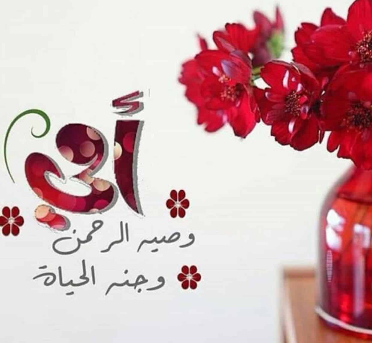 شعر اعتذار للام 10304 9