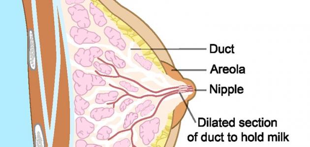 علاج هرمون الحليب , علاج هرمون الحليب نهائي