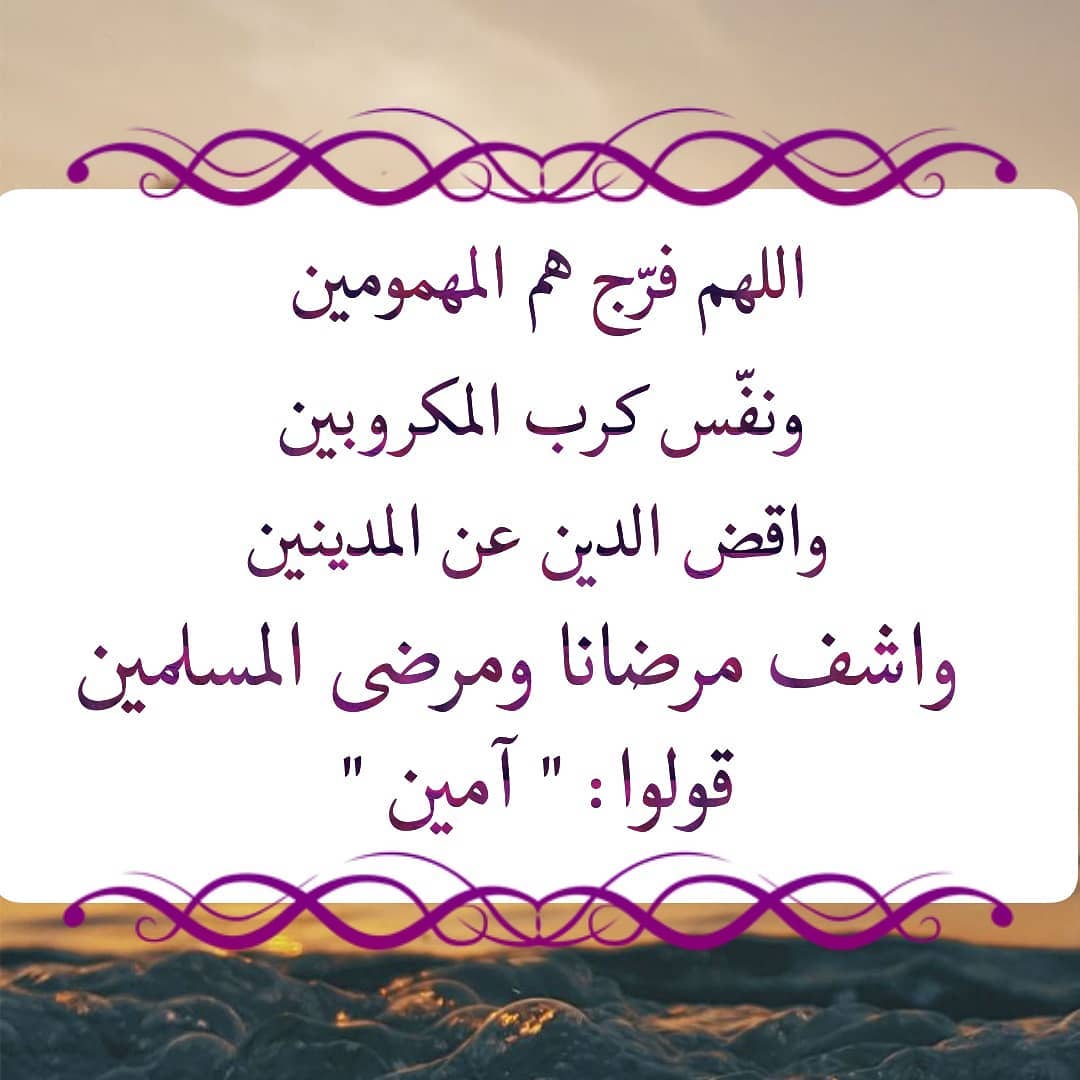 دعاء الضالة 3504 2