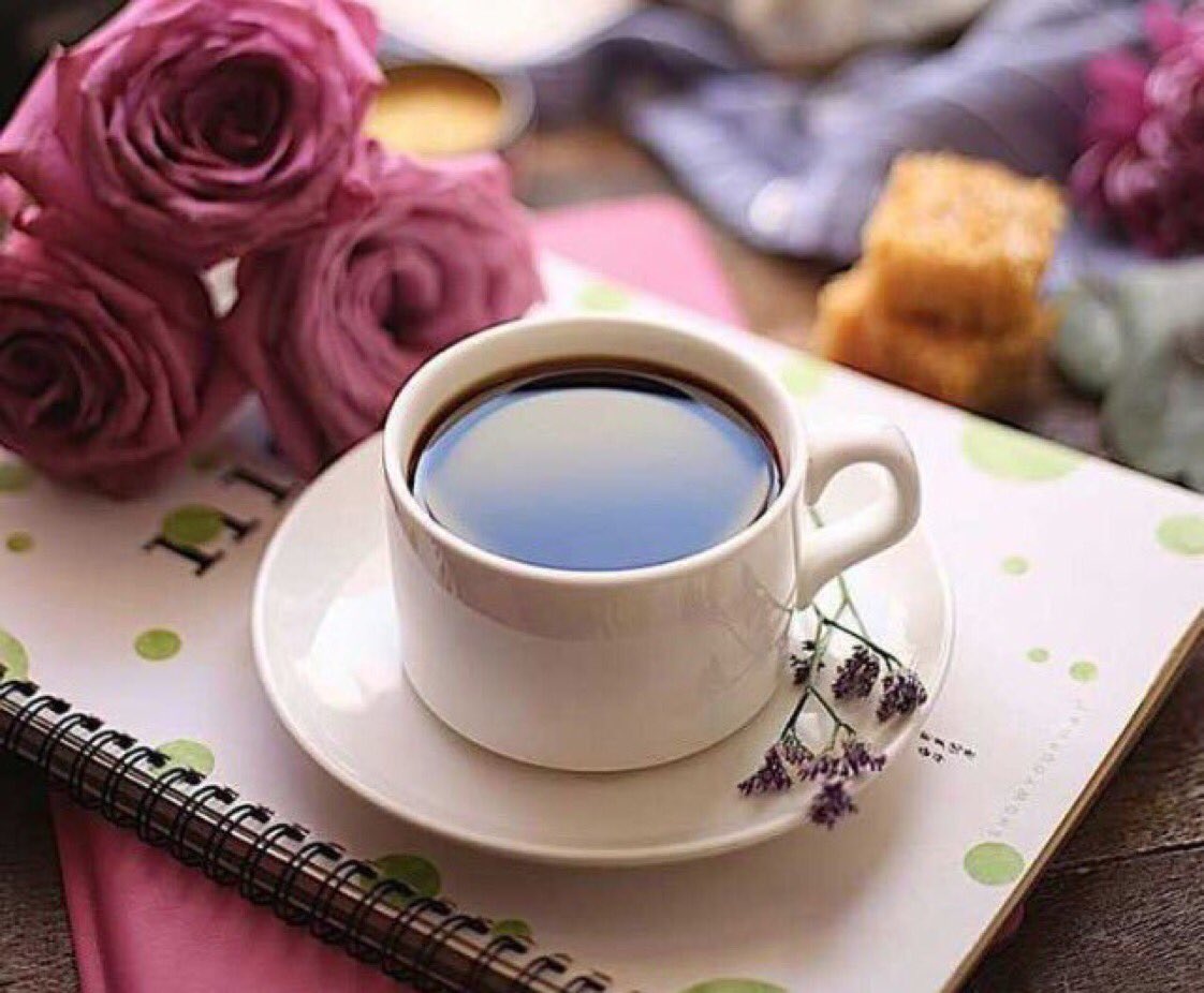 صباح الخير قهوة , تناول القهوه فى الصباح - بنات كيوت