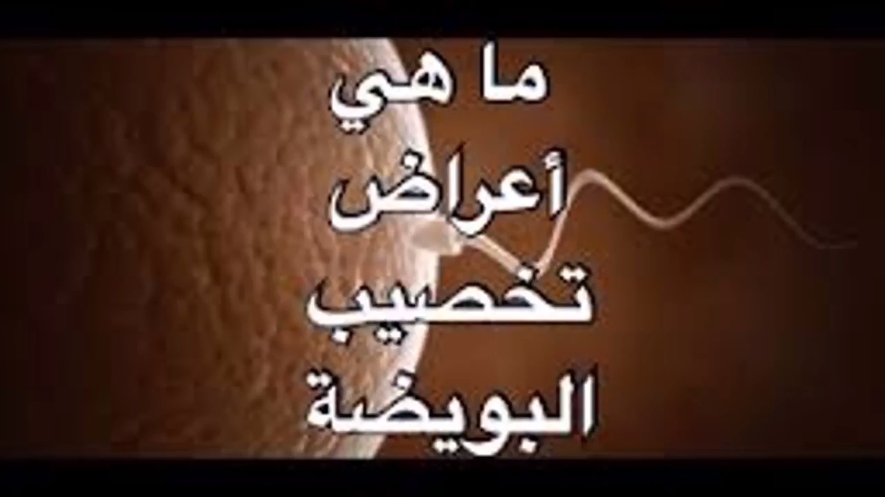 عند تلقيح البويضة ماذا تشعر المراة - مراحل تلقيح البويضه 2416 11