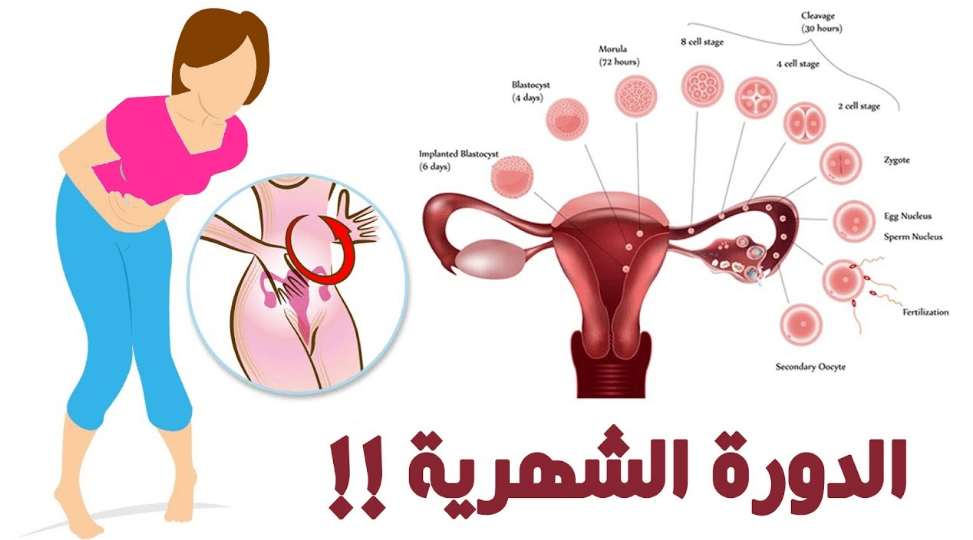 اعراض الدورة الشهرية , ما هي اعراض الدورة الشهرية للفتيات - بنات كيوت. 