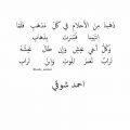 1416 11 شعر احمد شوقي - اشعار من الزمن الجميل رجاء متالقة