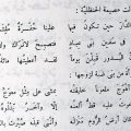 10619 11 الغزل في الشعر العربي رجاء متالقة