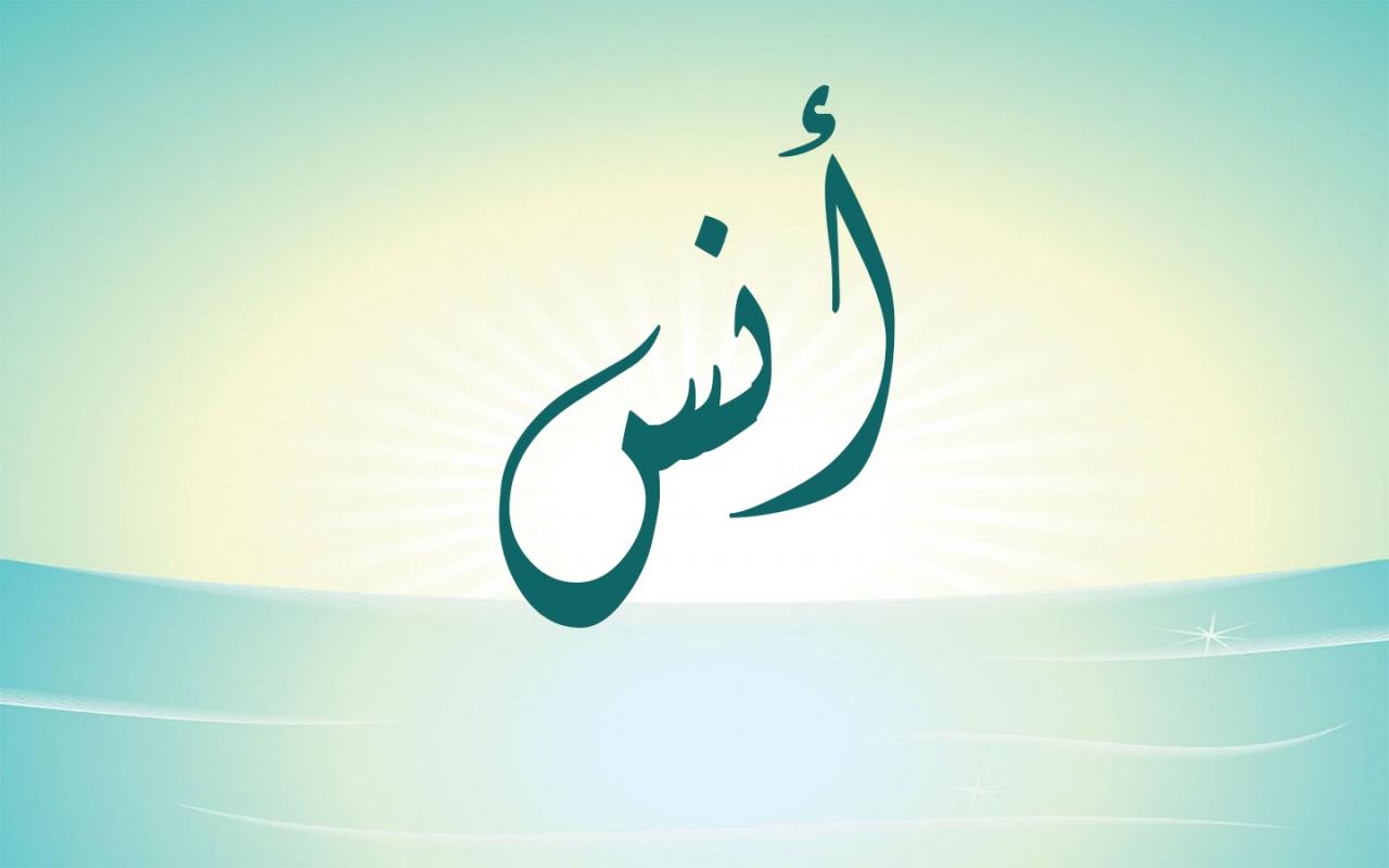 معنى اسم انس , تعريف اسم انس وصفات حامله